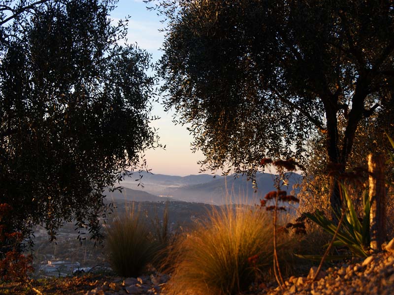 Domaine de la Mouissone_06130 GRASSE_19